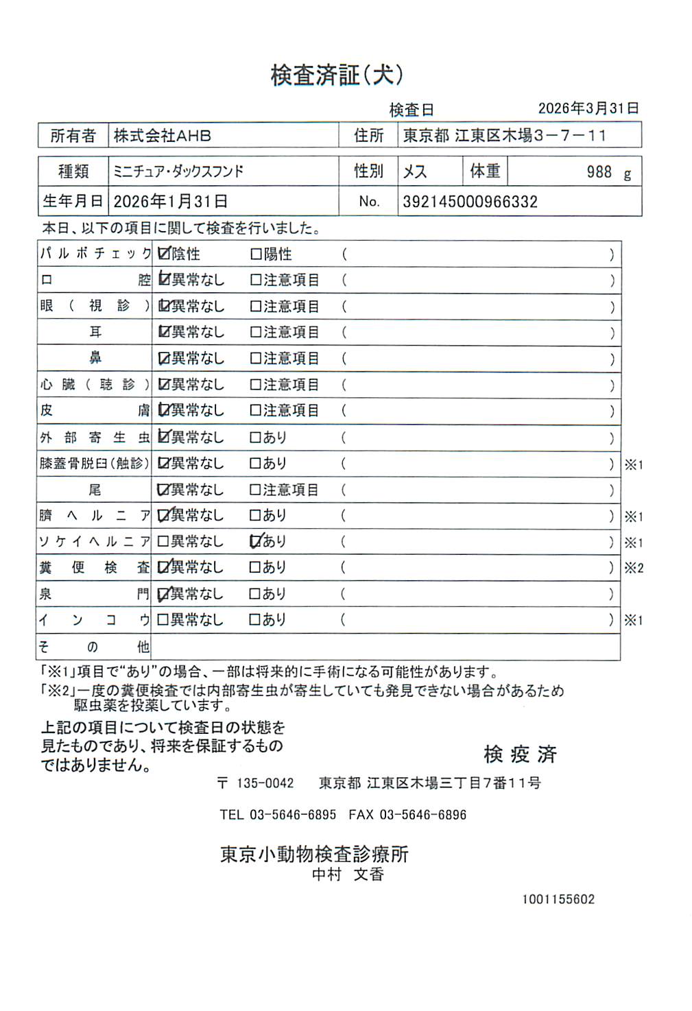 ミニチュア・ダックスフンド