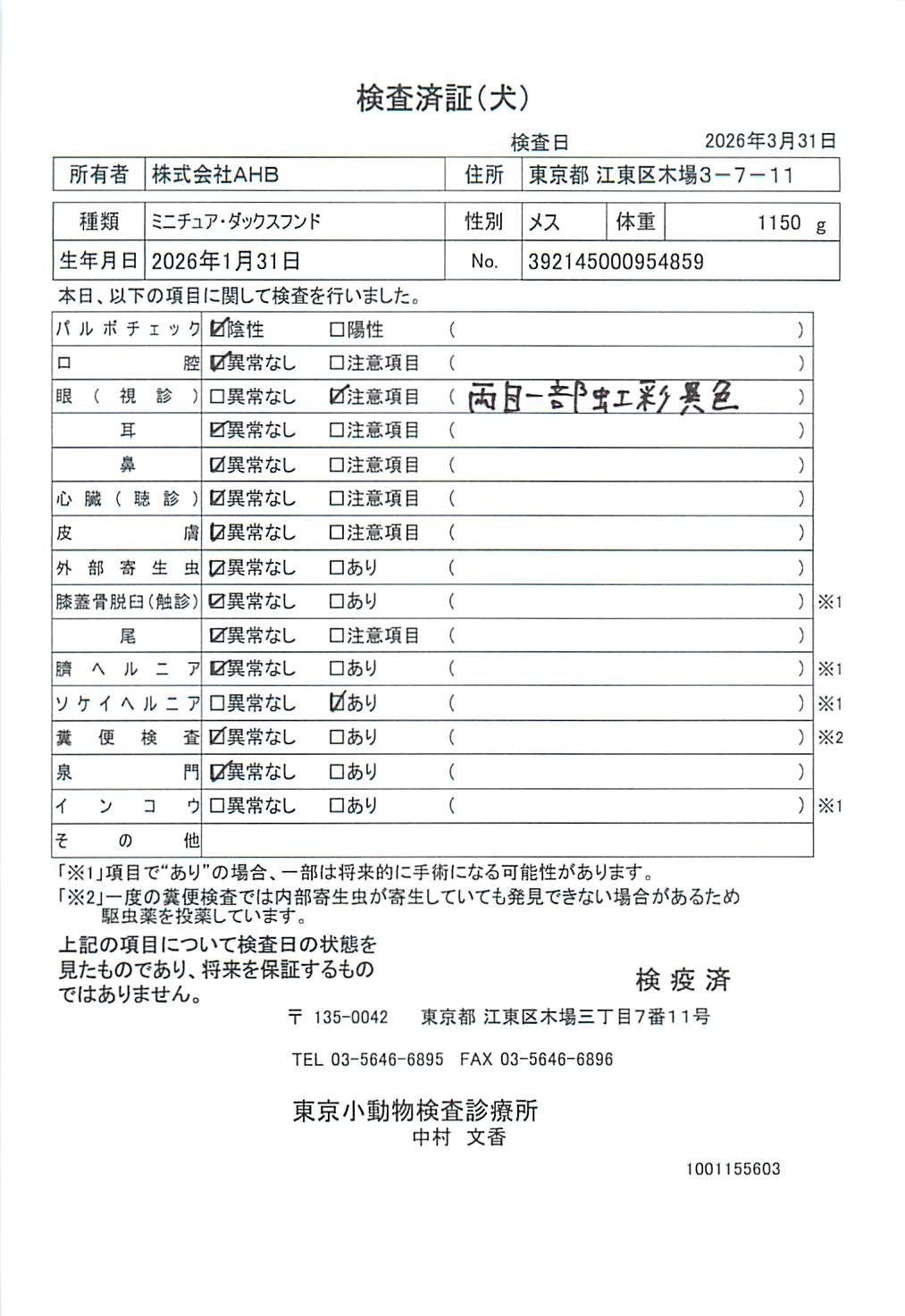 ミニチュア・ダックスフンド