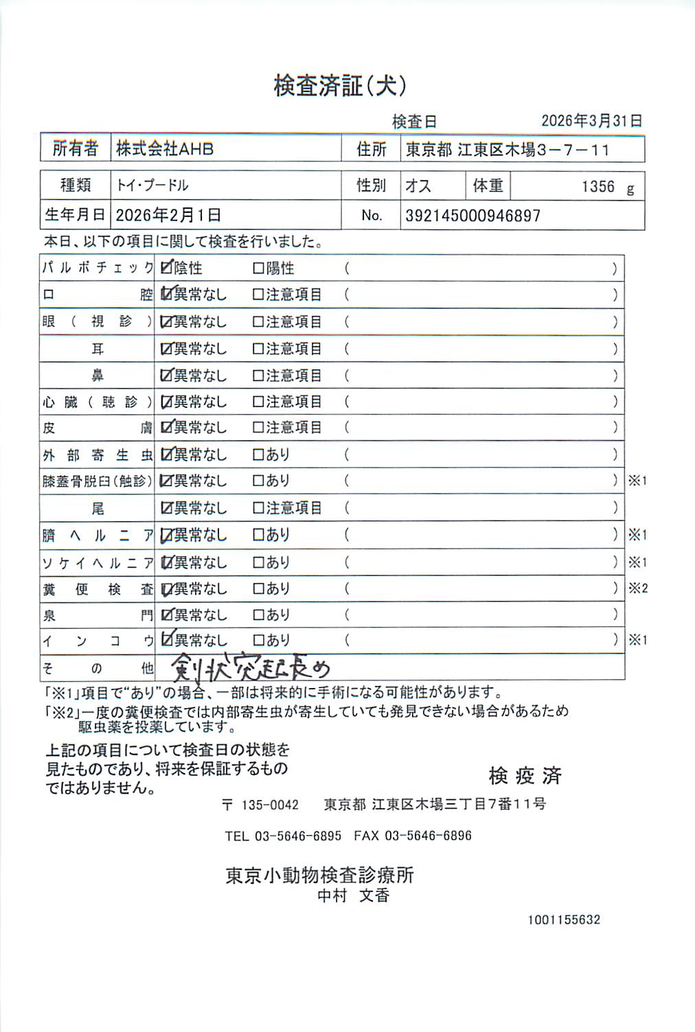 トイ・プードル