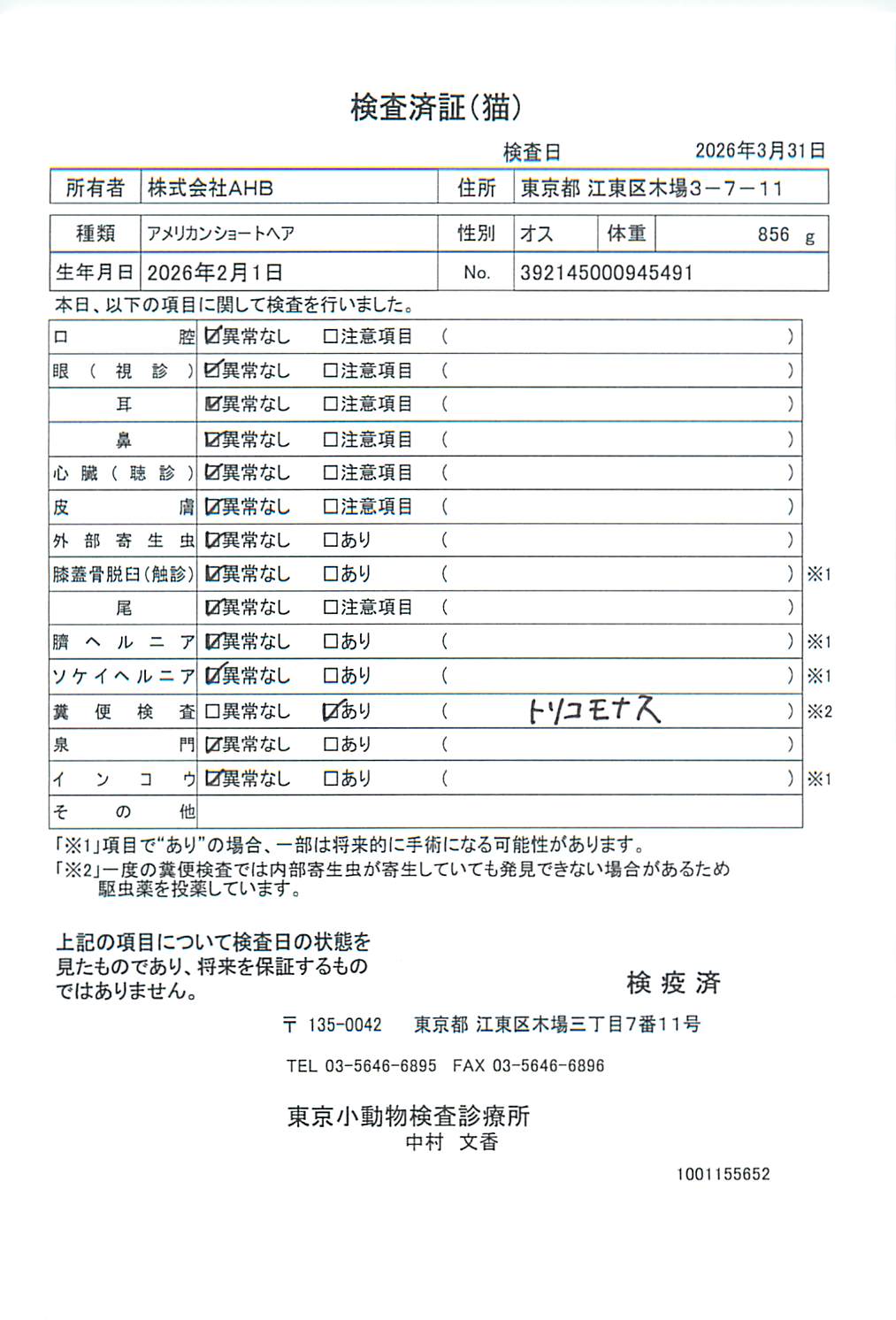 アメリカンショートヘア