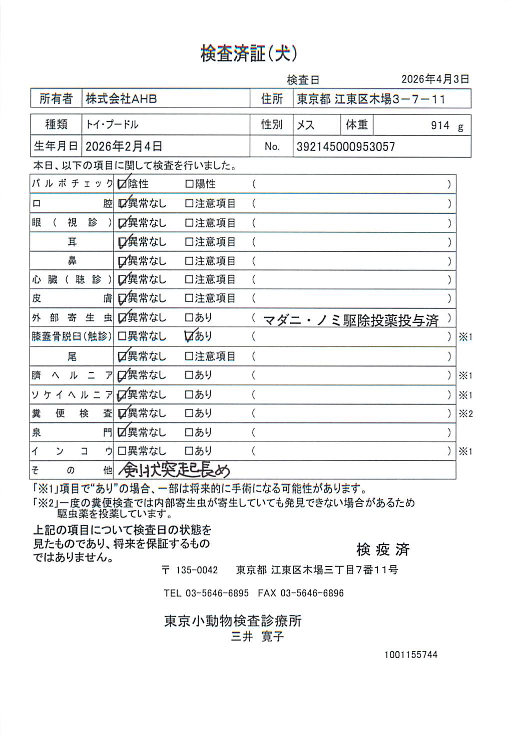 トイ・プードル