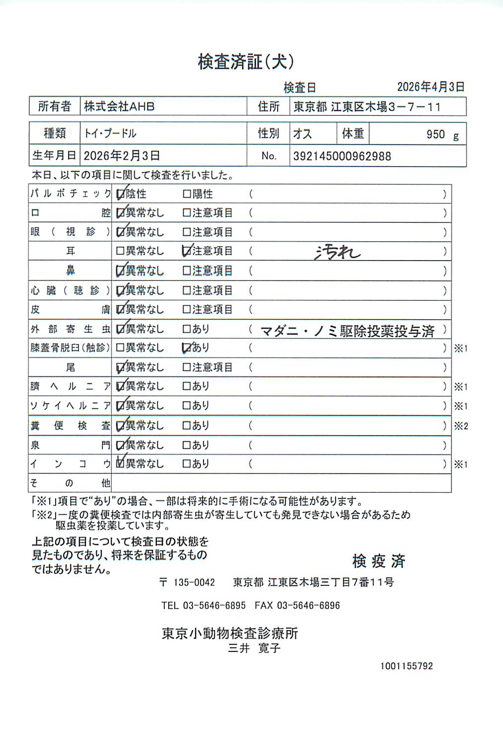 トイ・プードル