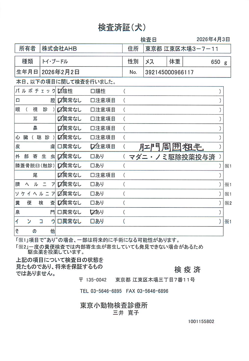 トイ・プードル