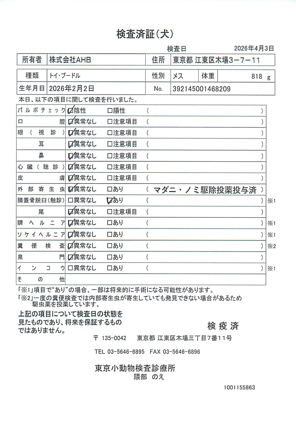 トイ・プードル
