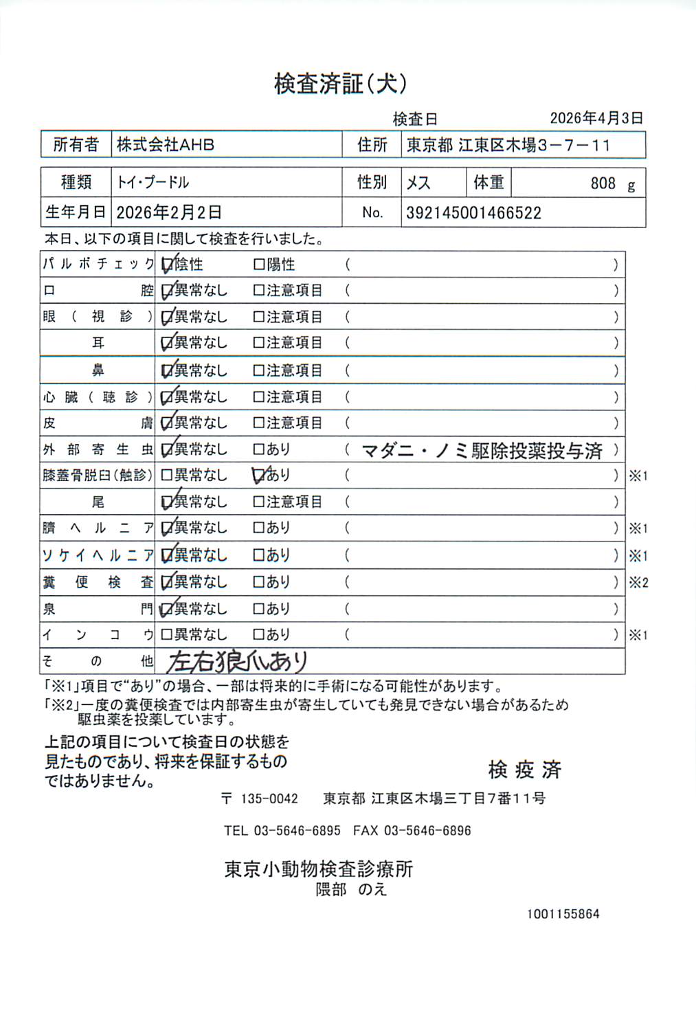 トイ・プードル
