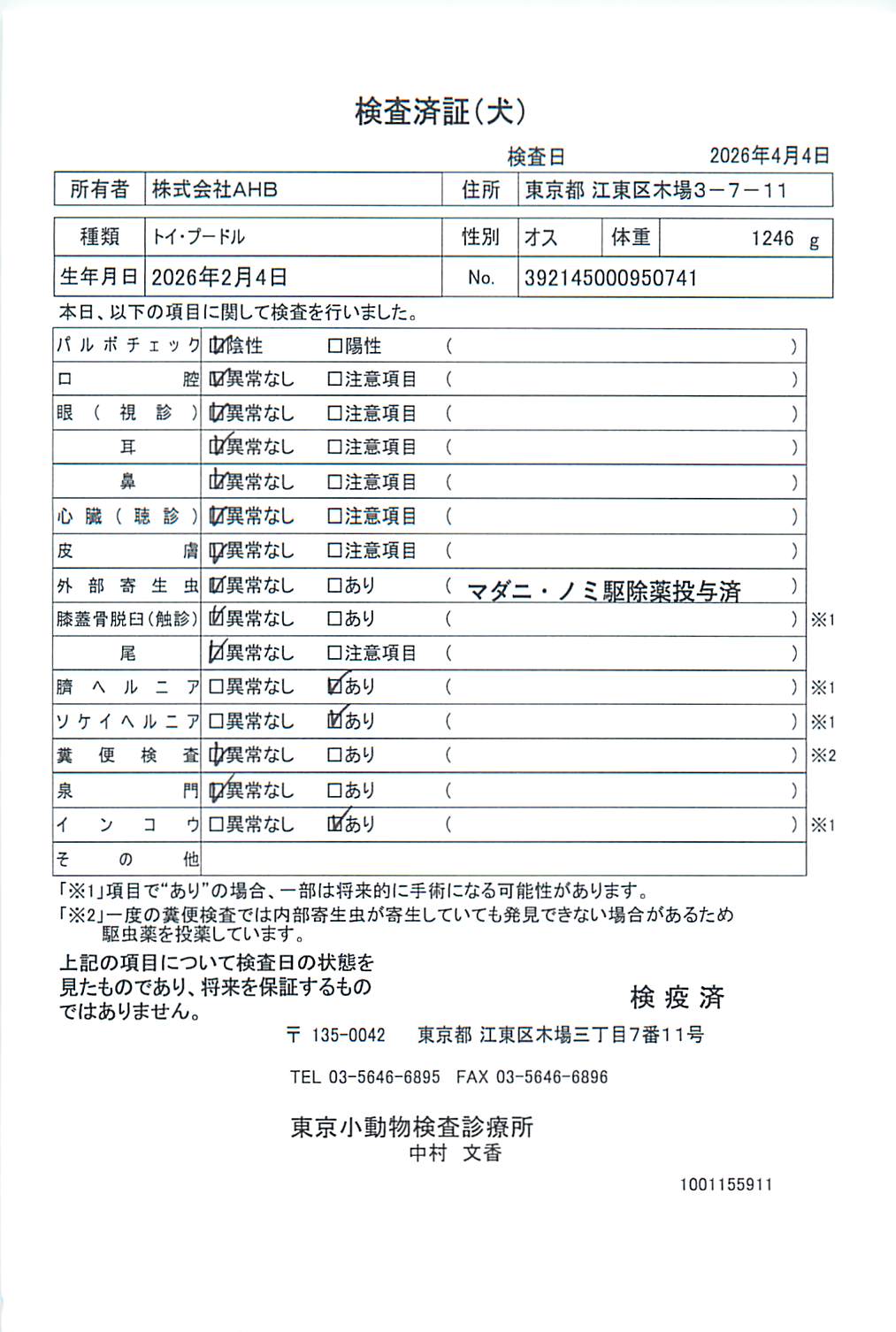トイ・プードル