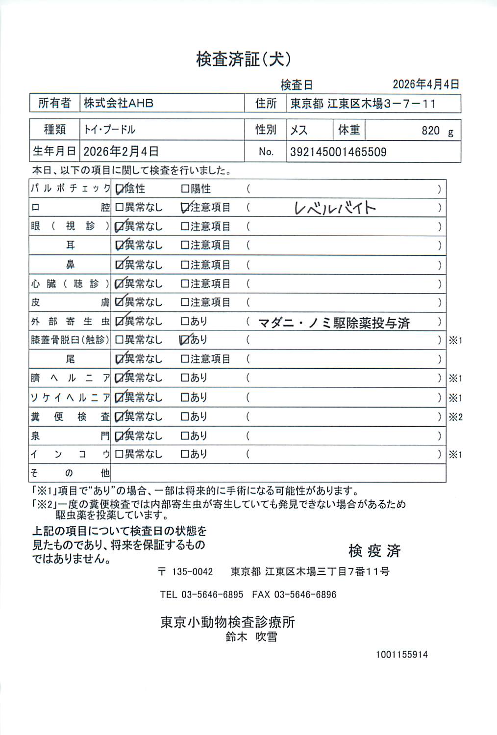 トイ・プードル