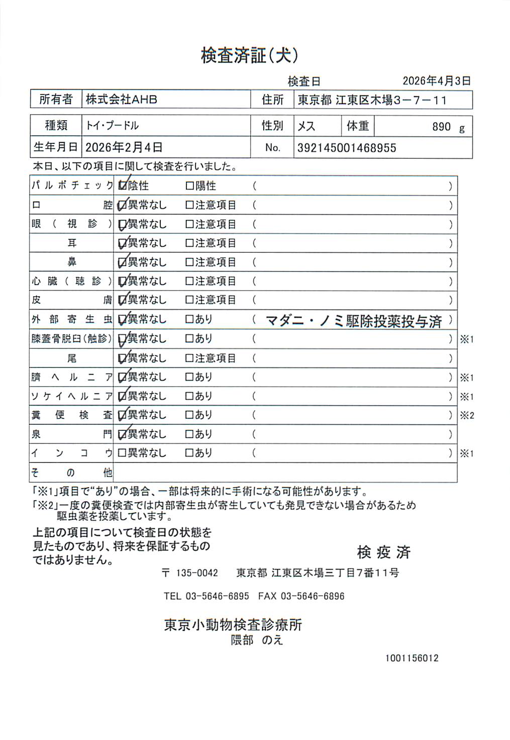 トイ・プードル