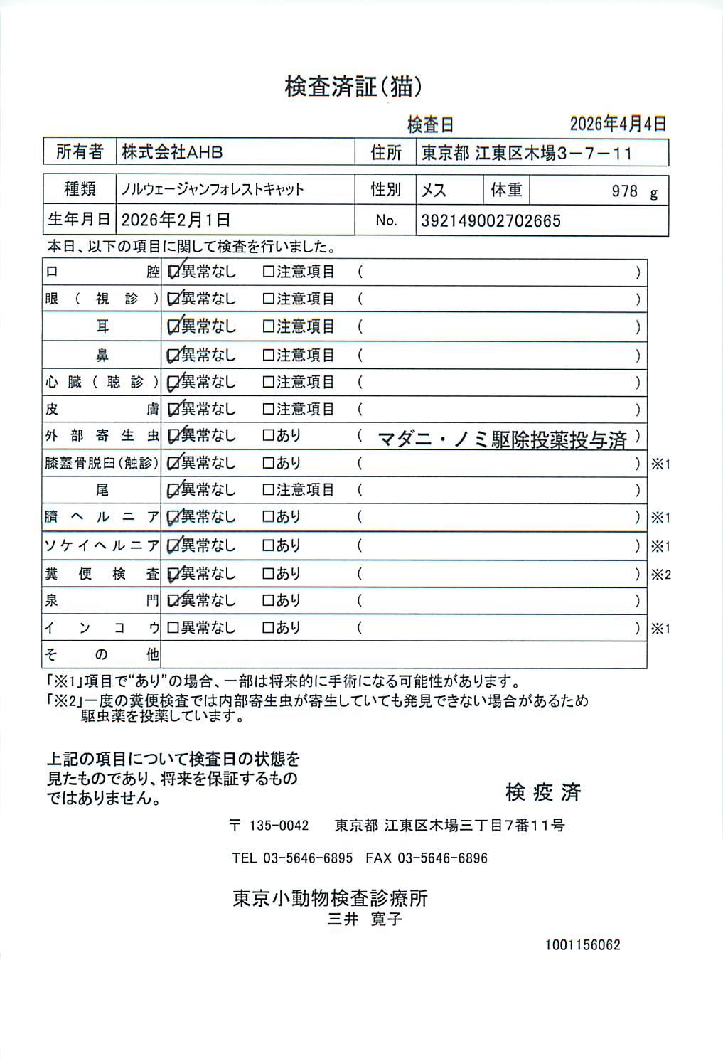 ノルウェージャンフォレストキャット
