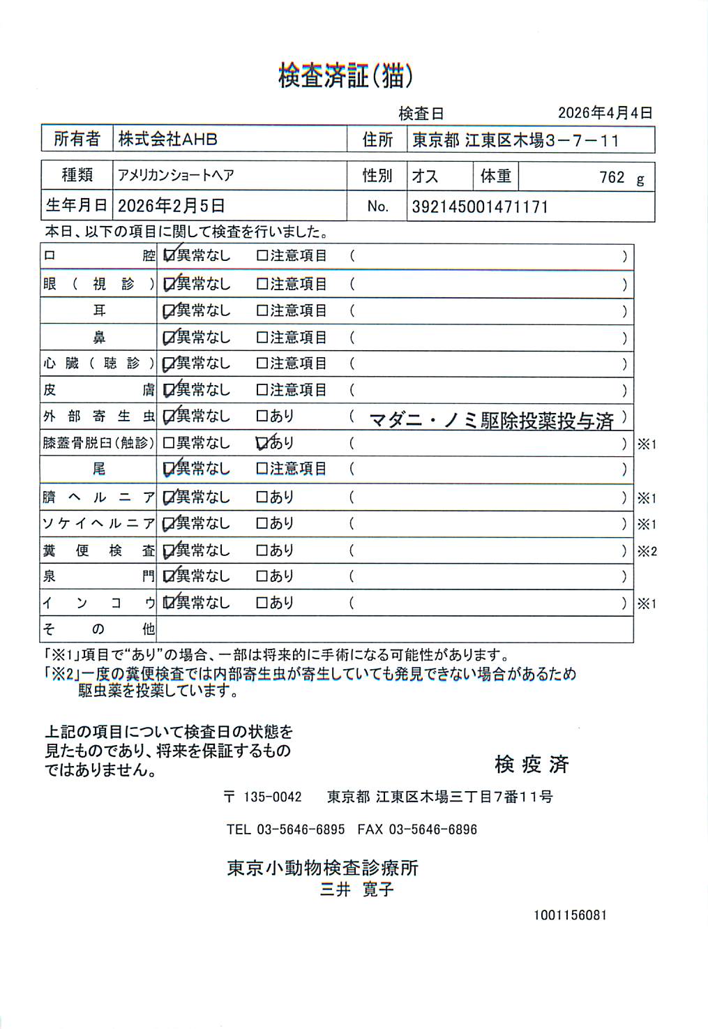 アメリカンショートヘア