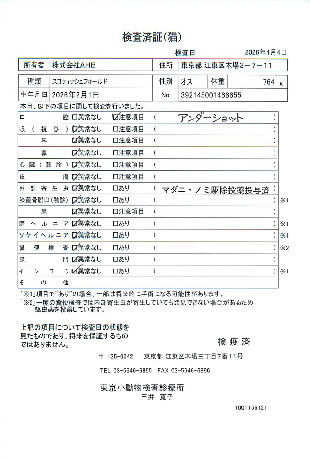 スコティッシュフォールド