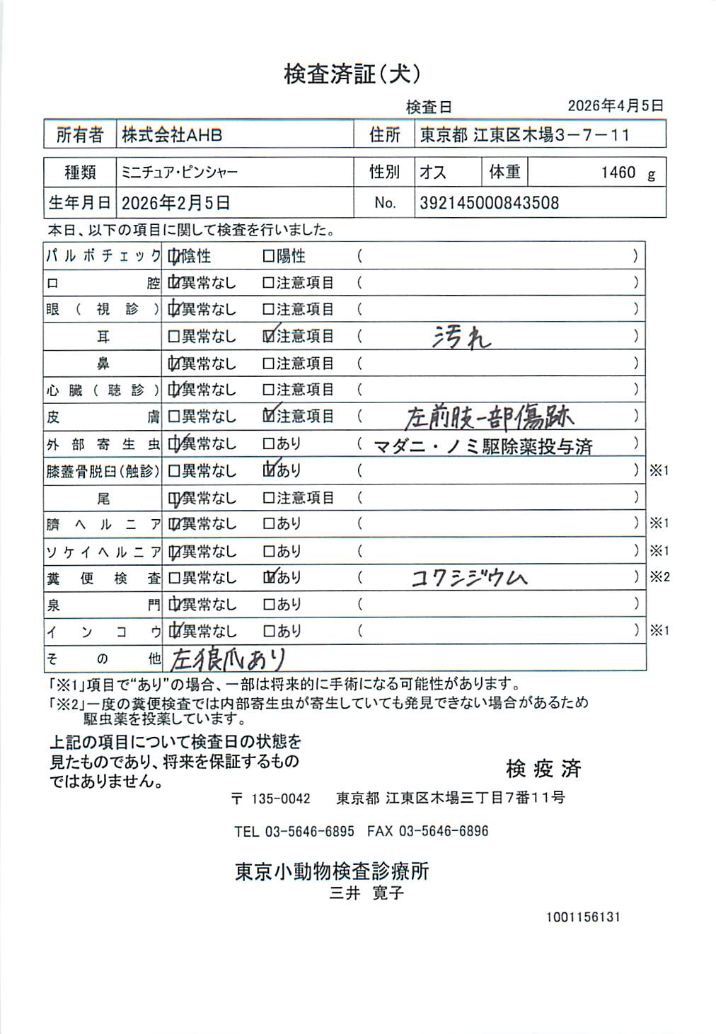 ミニチュア・ピンシャー