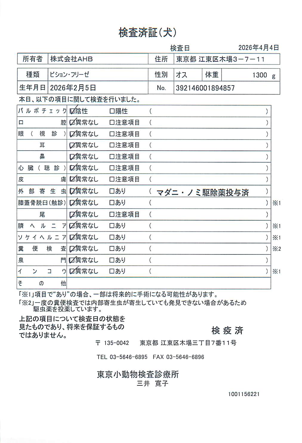 ビション・フリーゼ