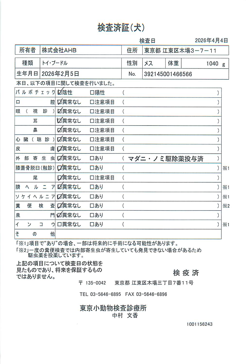 トイ・プードル