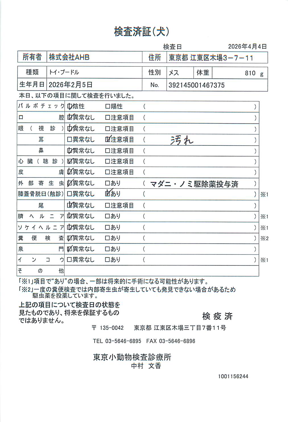 トイ・プードル