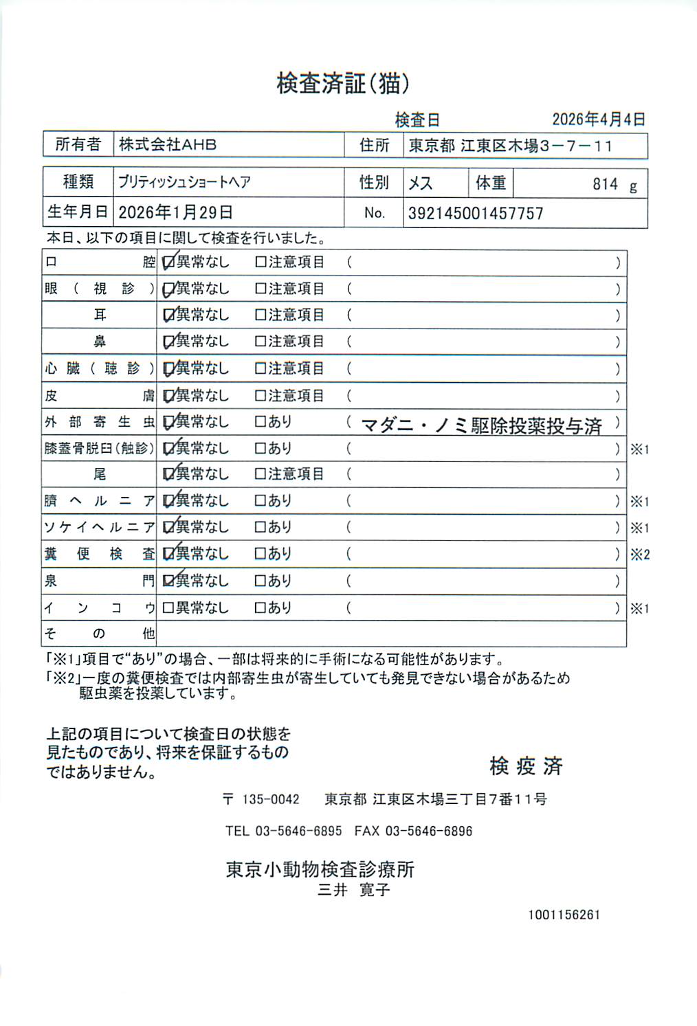 ブリティッシュショートヘア