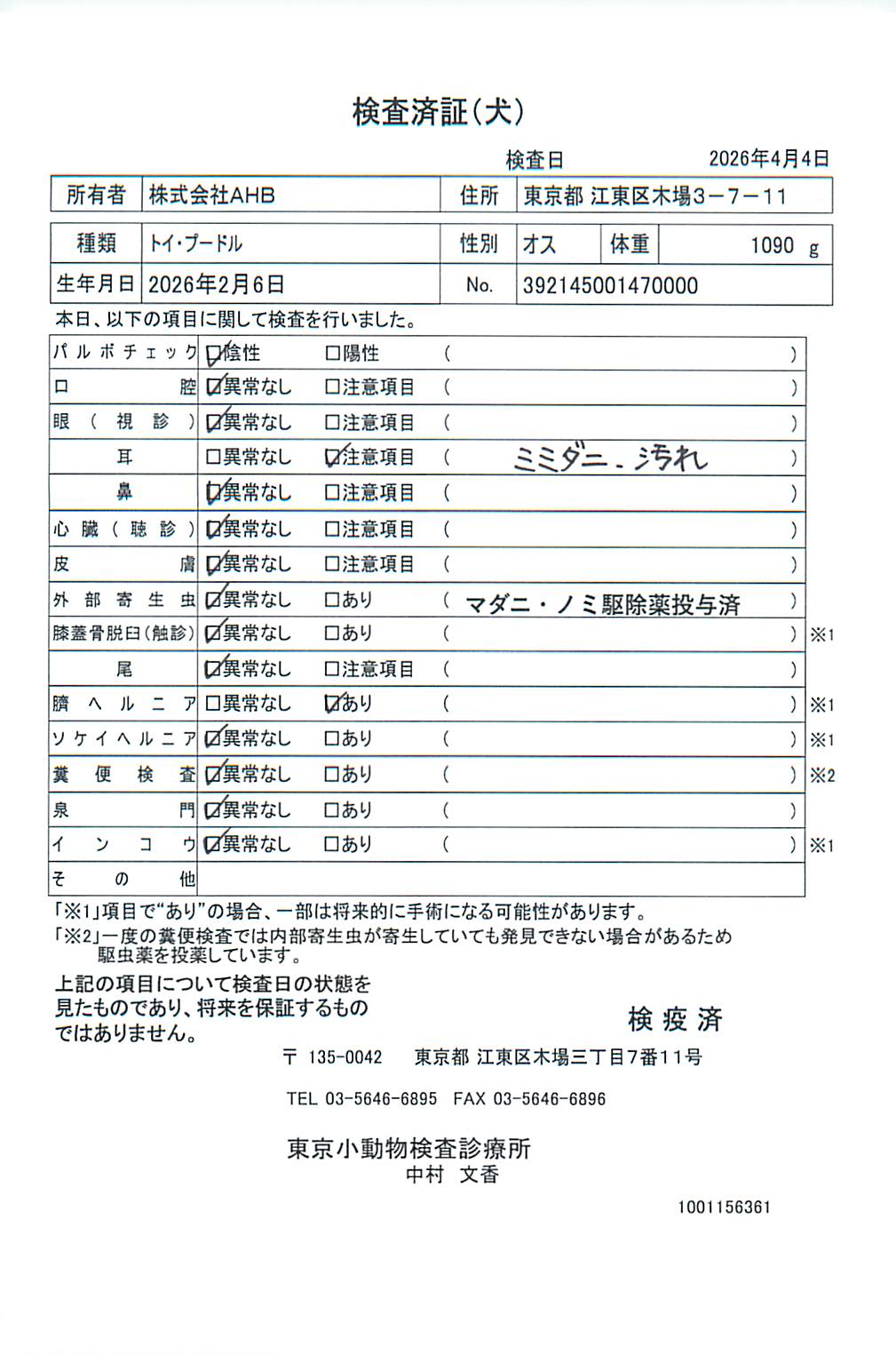 トイ・プードル