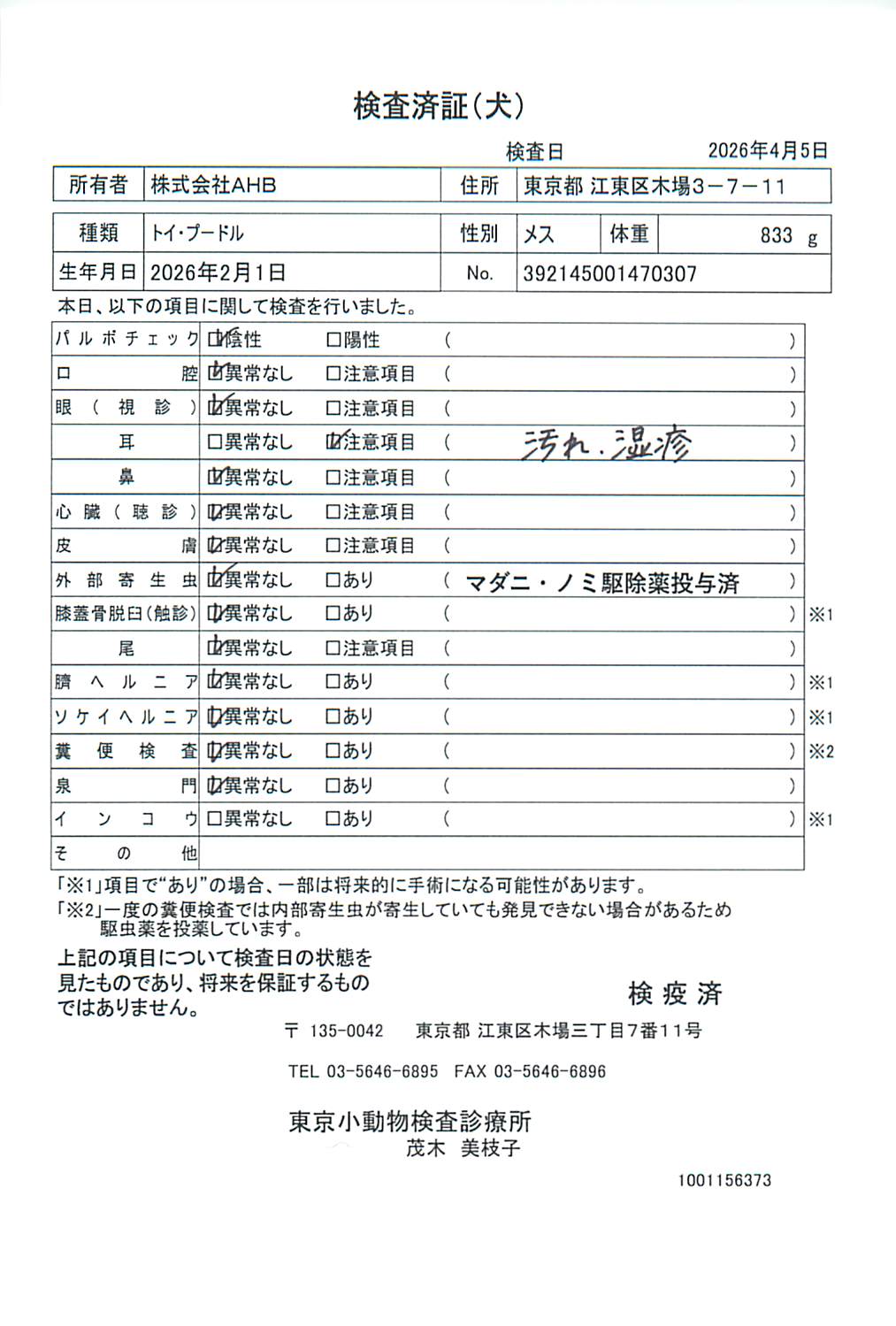 トイ・プードル