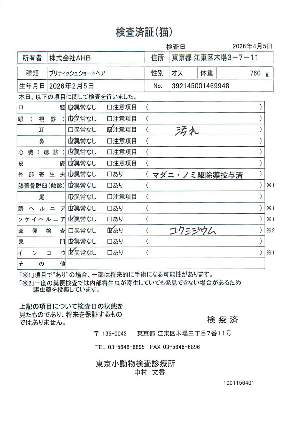 ブリティッシュショートヘア