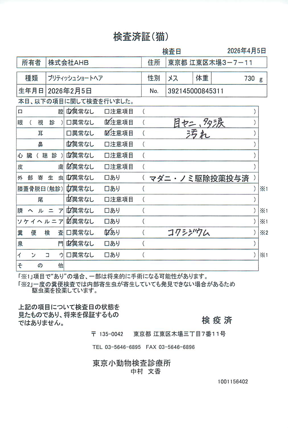ブリティッシュショートヘア