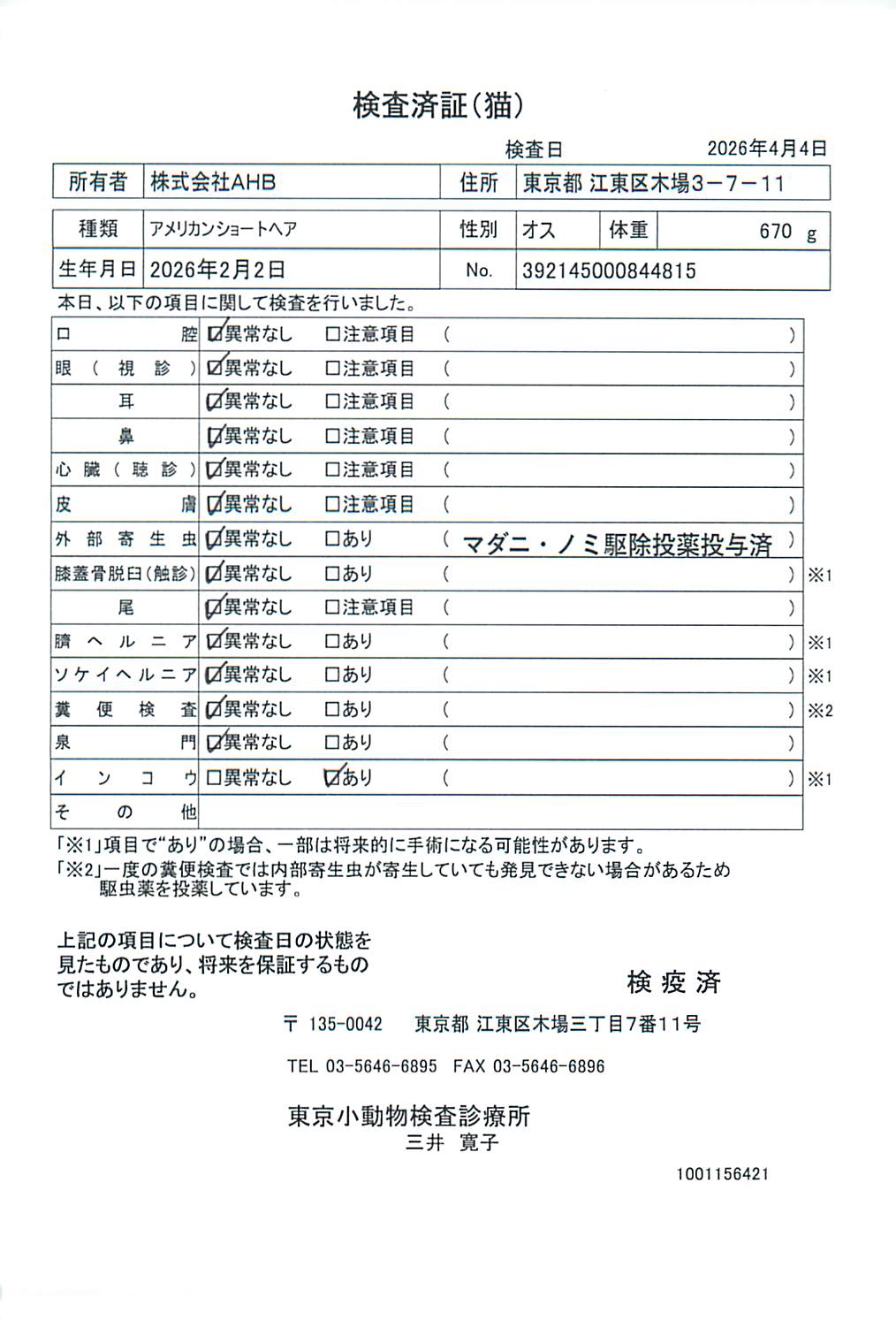 アメリカンショートヘア
