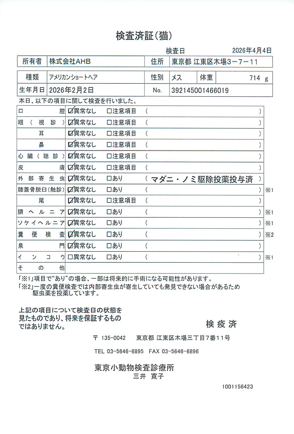 アメリカンショートヘア