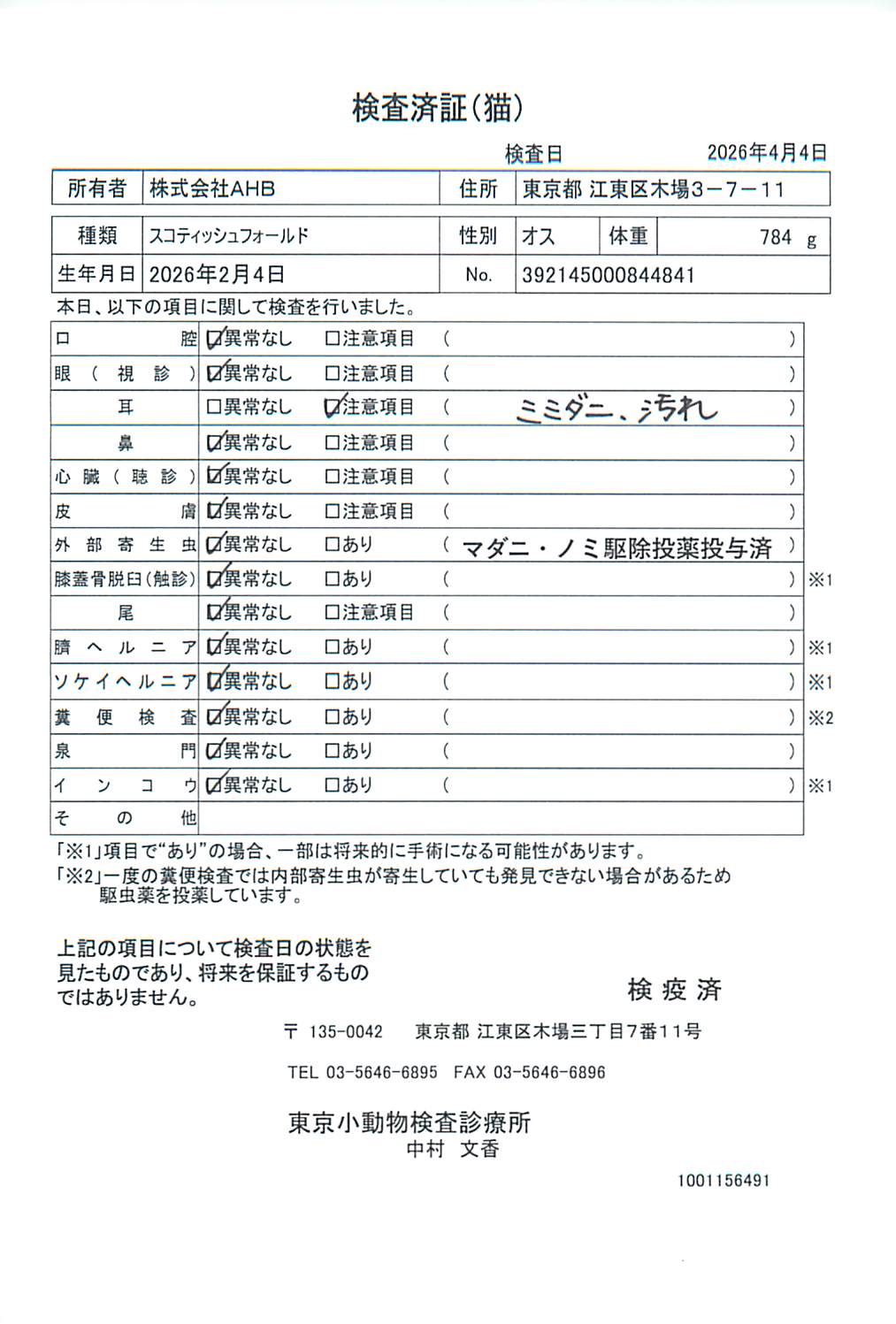 スコティッシュフォールド