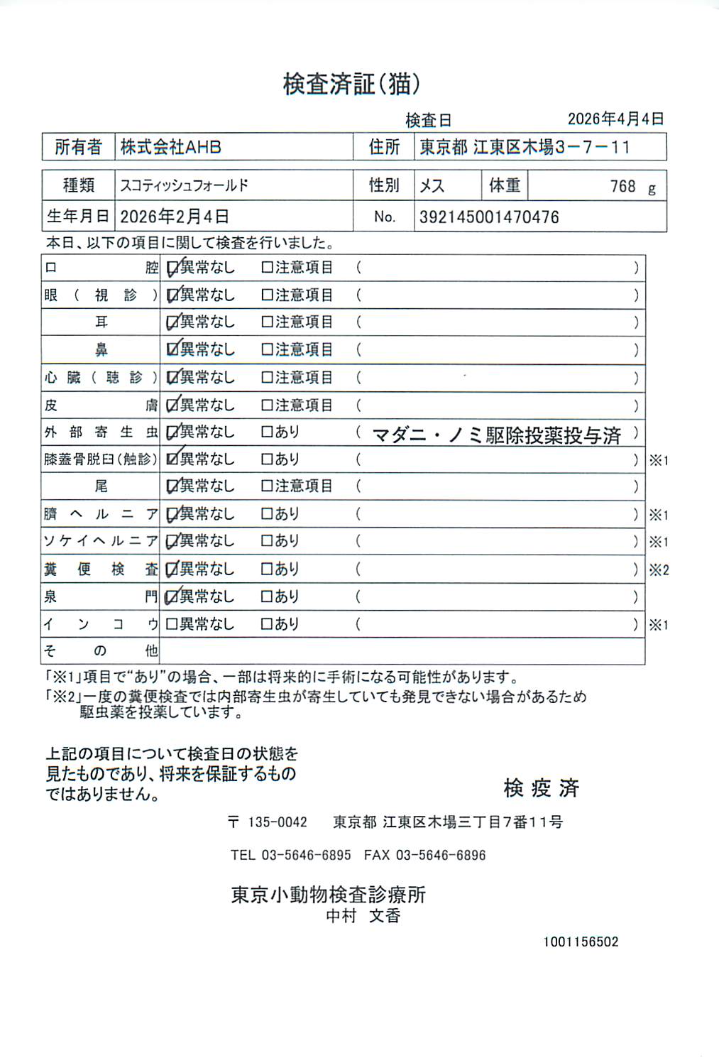 スコティッシュフォールド