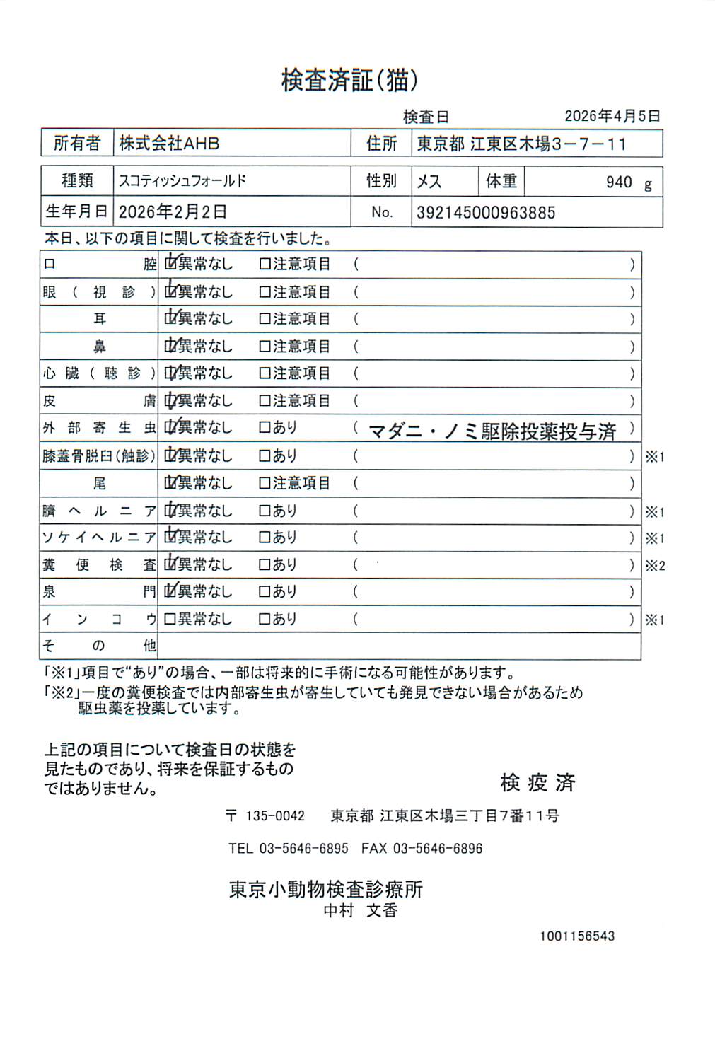 スコティッシュフォールド