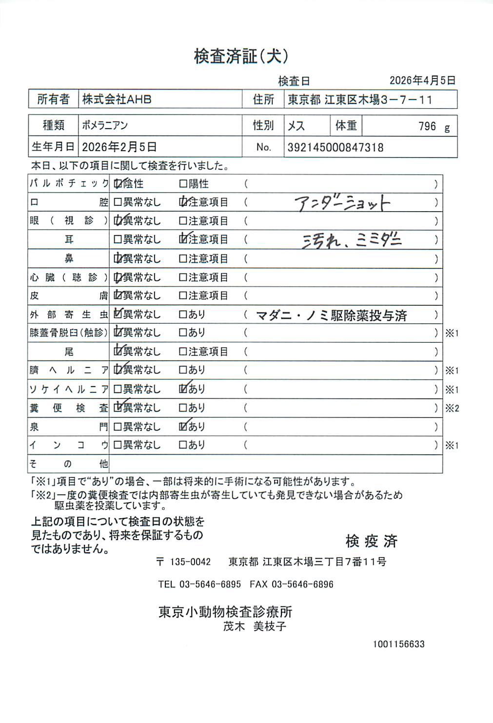 ポメラニアン