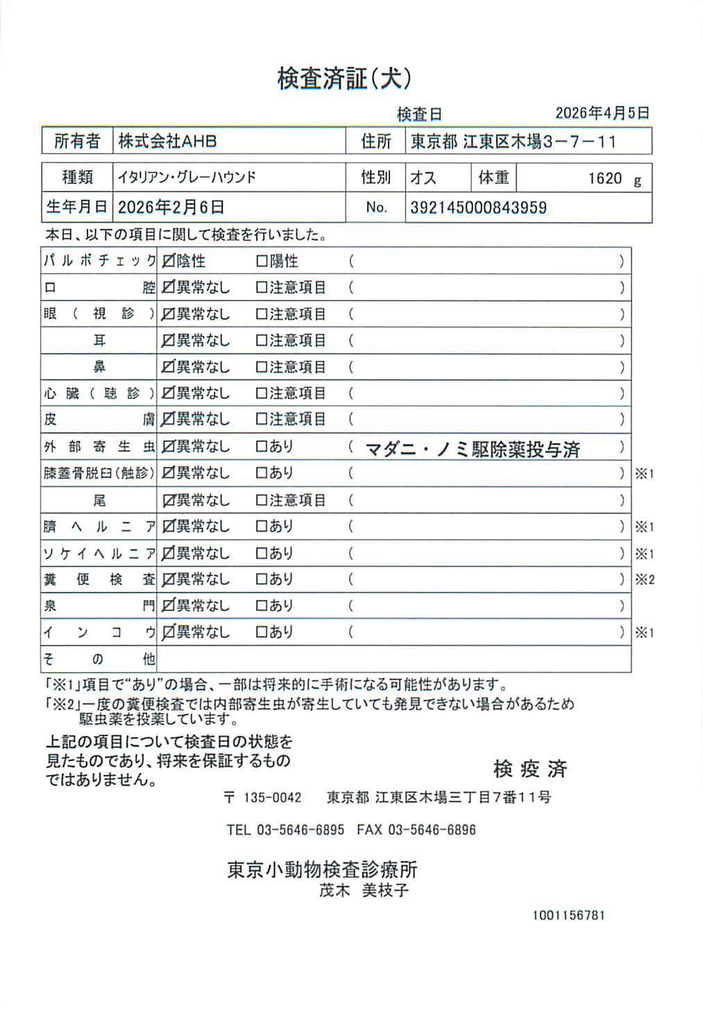 イタリアン・グレーハウンド