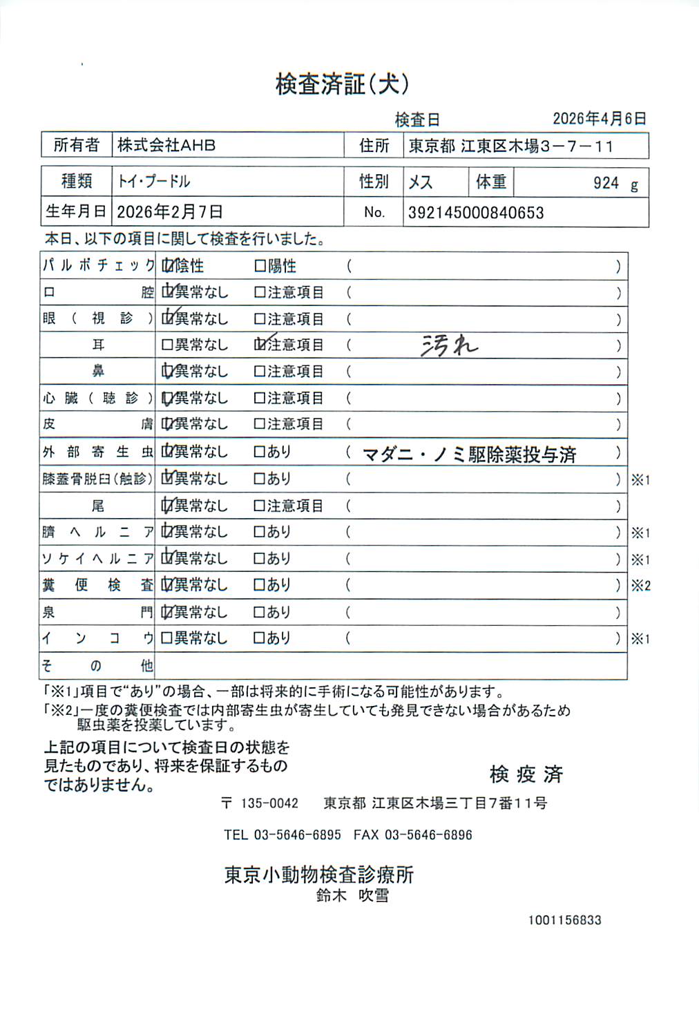 トイ・プードル