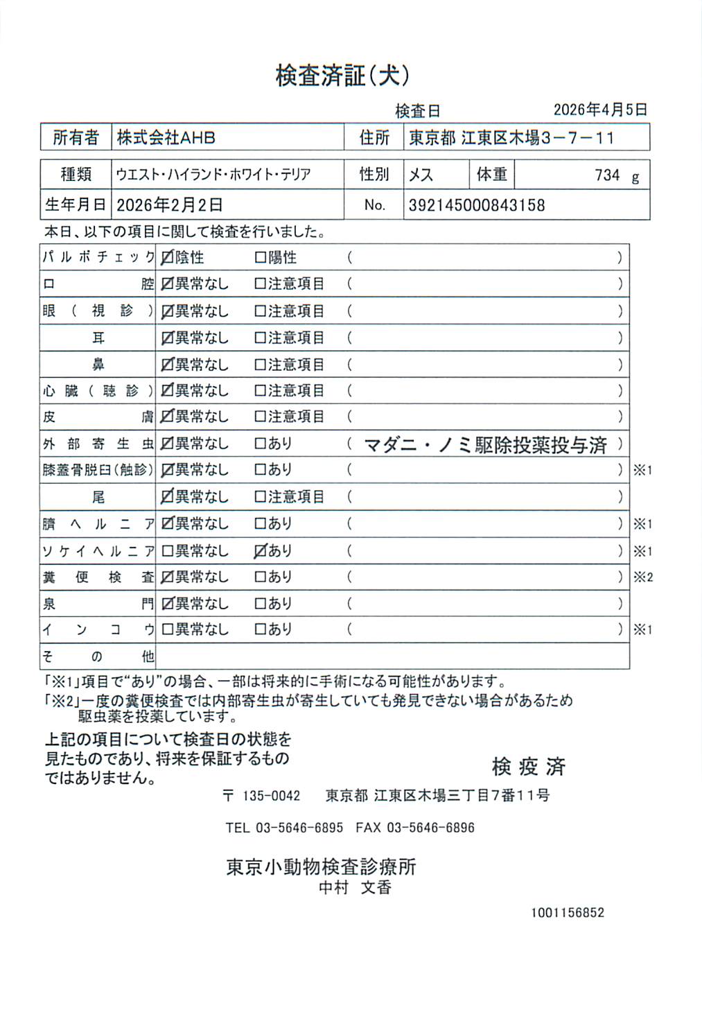 ウエスト・ハイランド・ホワイト・テリア
