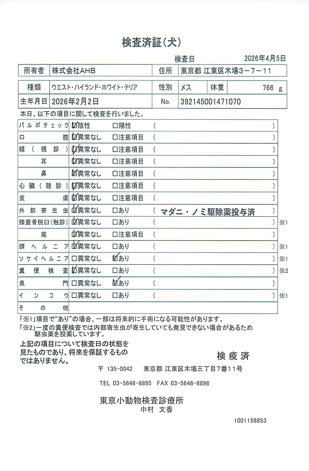 ウエスト・ハイランド・ホワイト・テリア