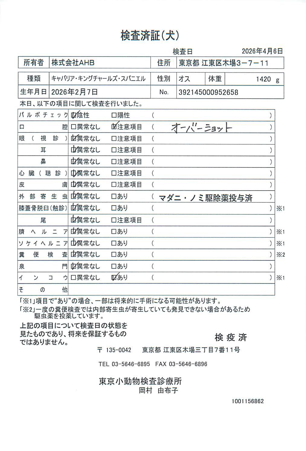 キャバリア・キングチャールズ・スパニエル