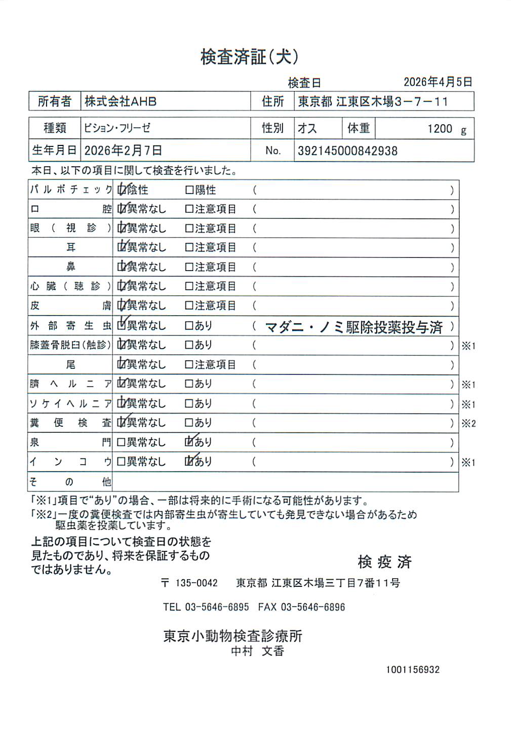 ビション・フリーゼ