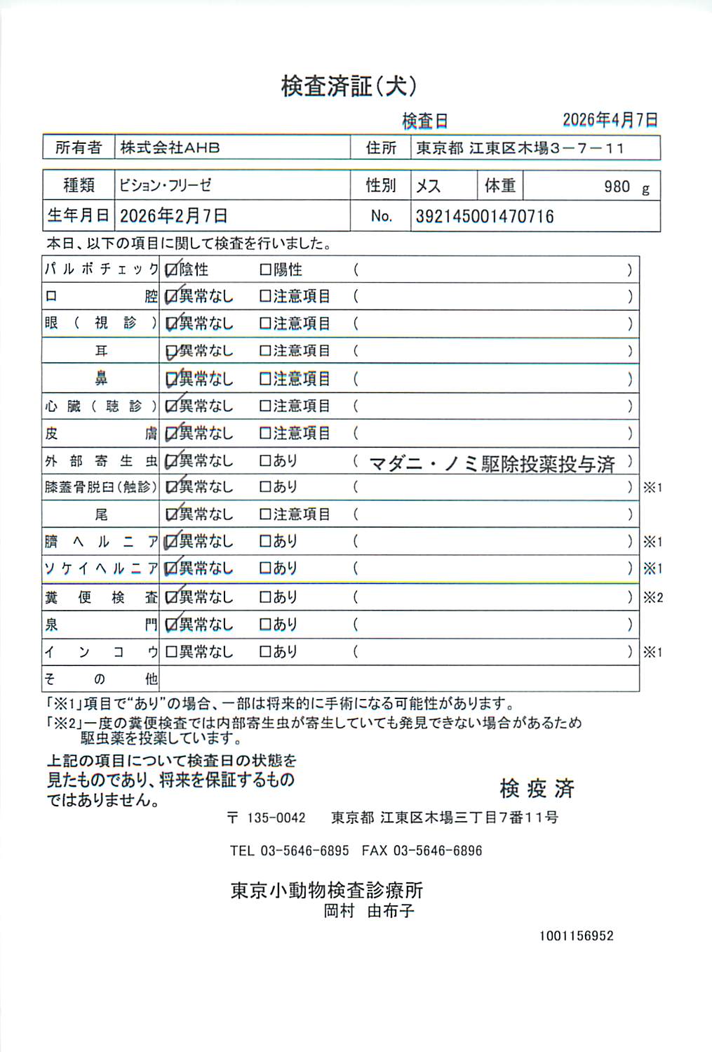 ビション・フリーゼ