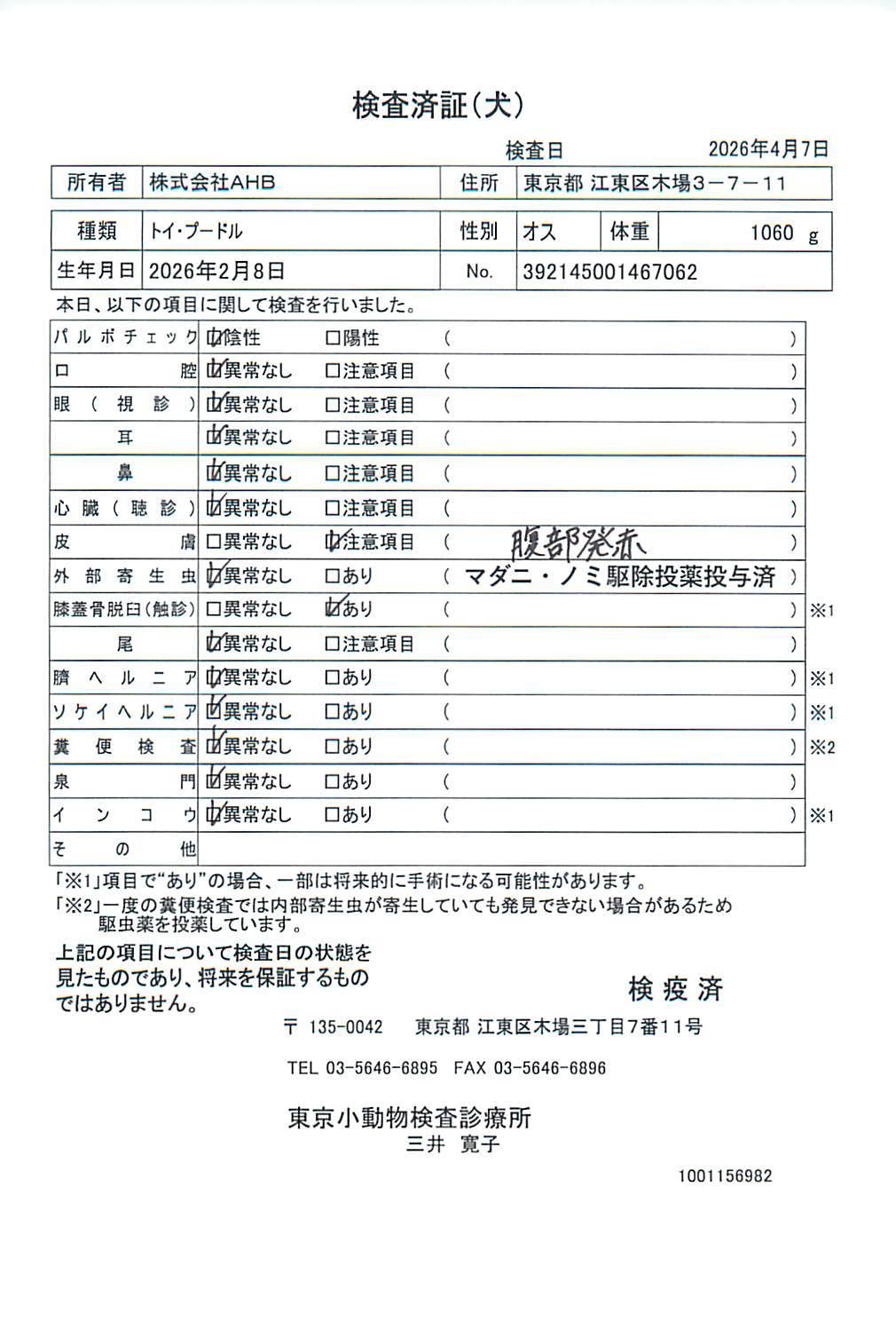 トイ・プードル