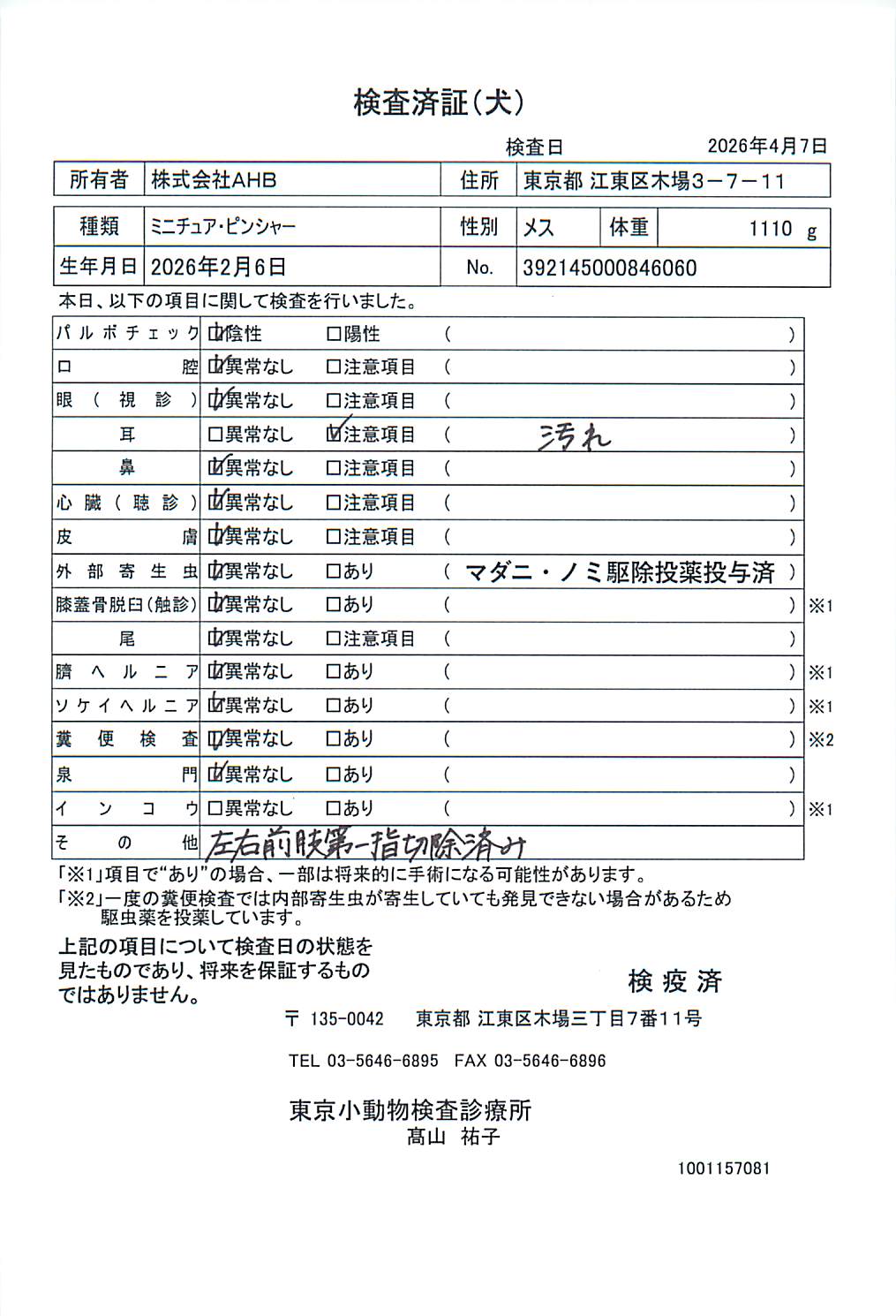 ミニチュア・ピンシャー