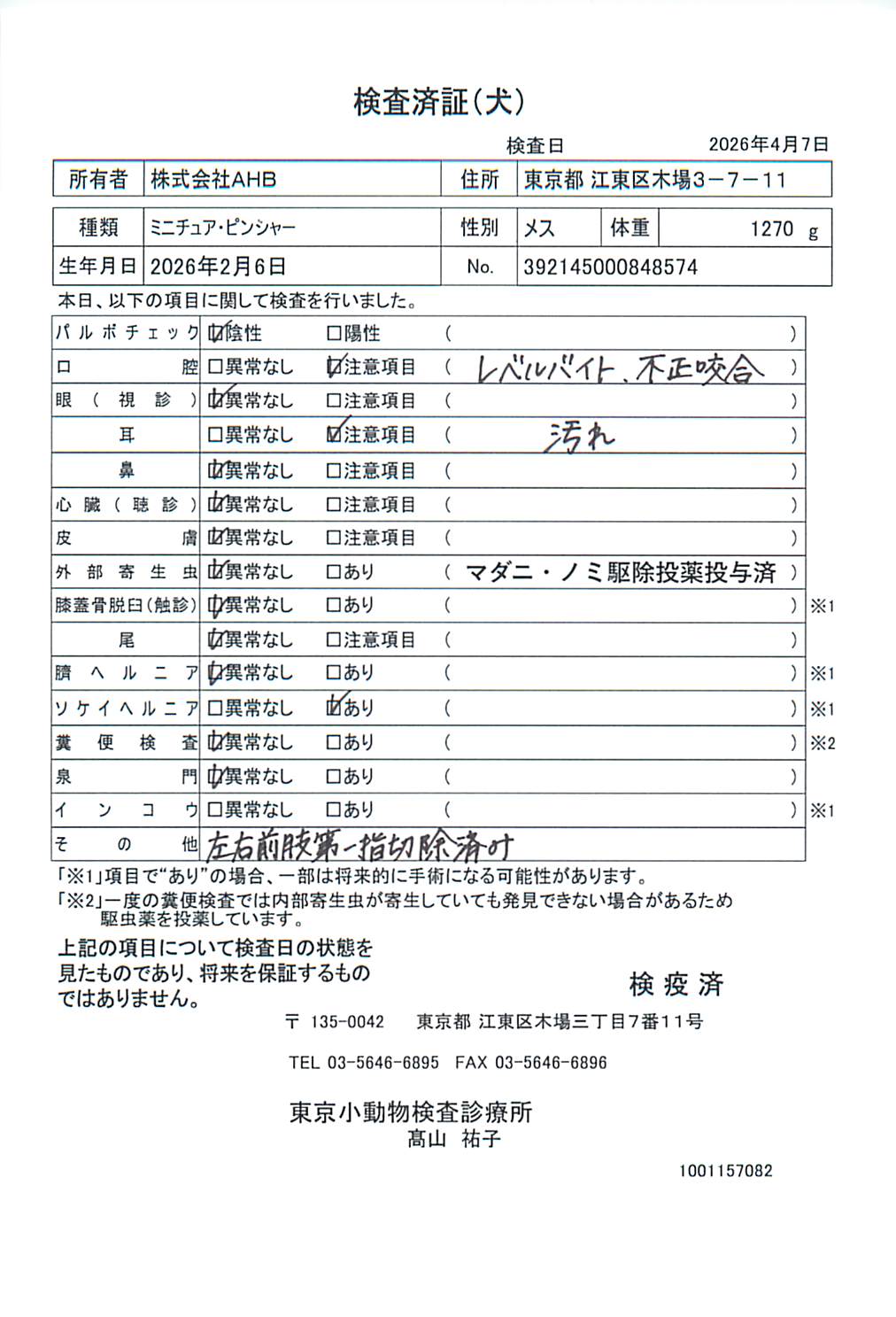 ミニチュア・ピンシャー