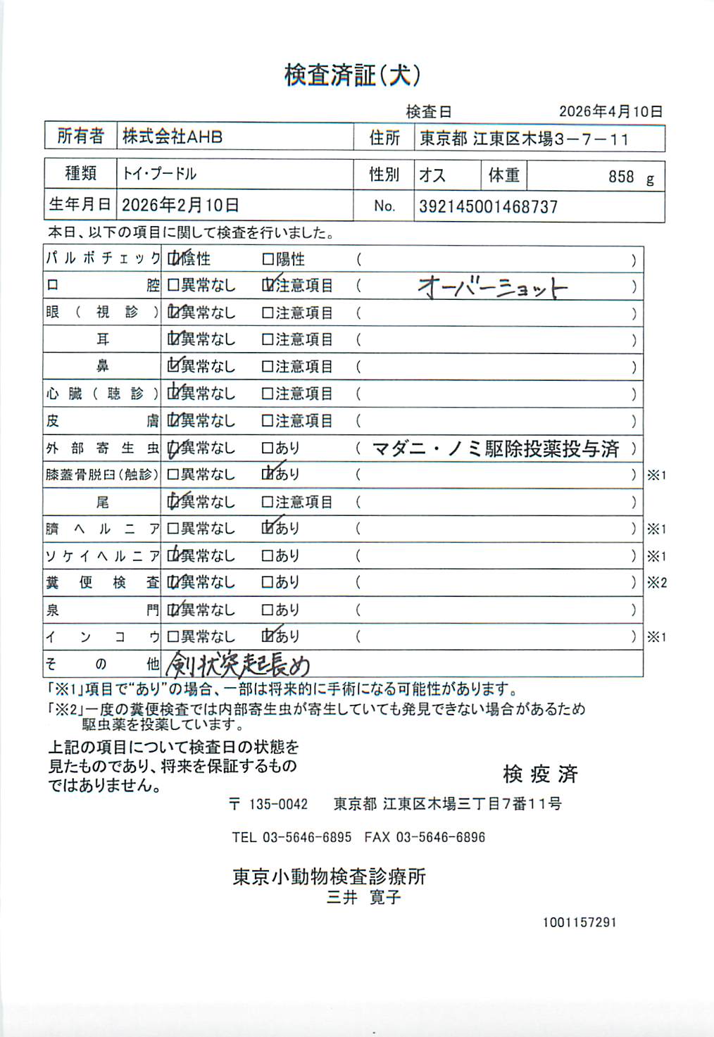 トイ・プードル
