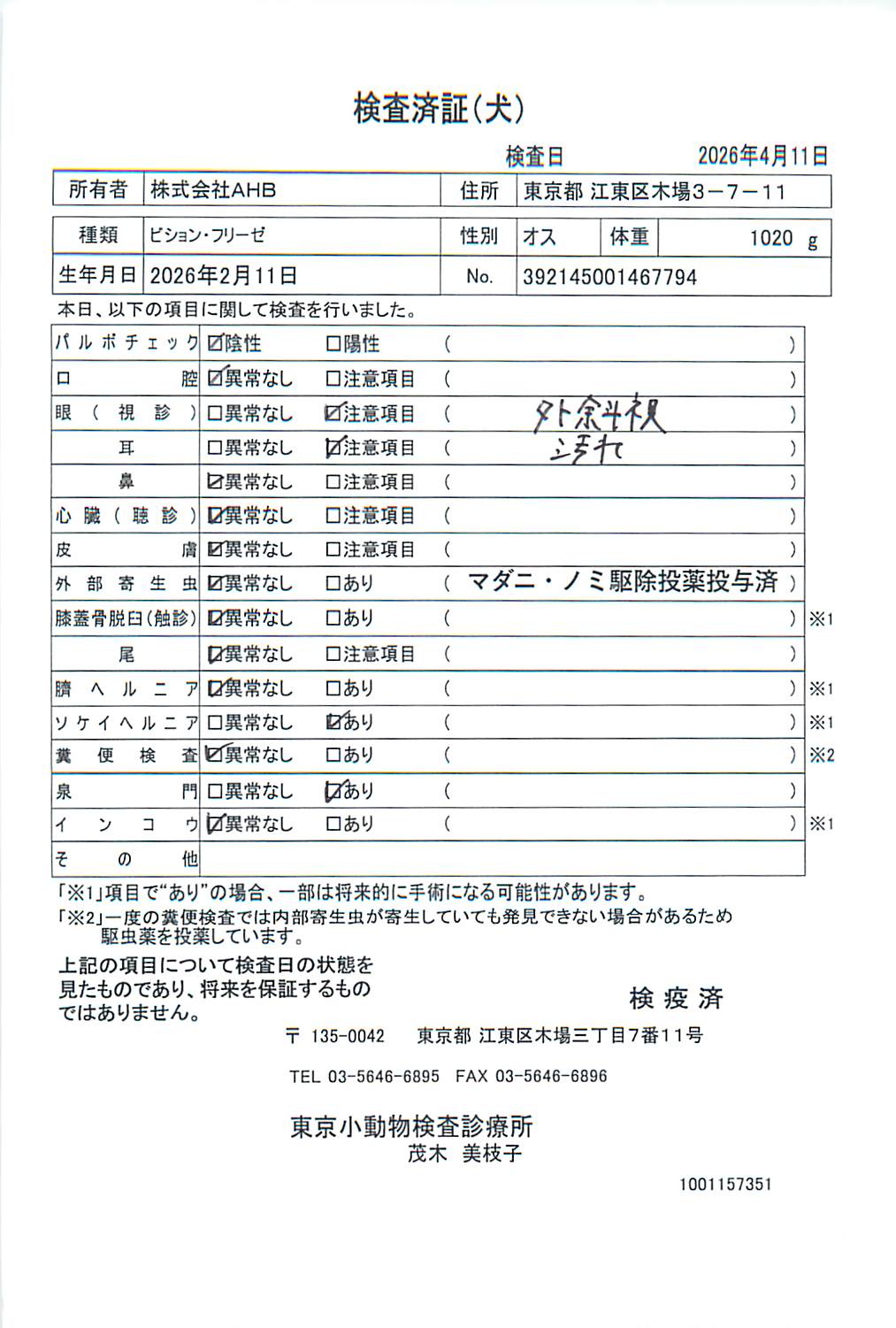 ビション・フリーゼ