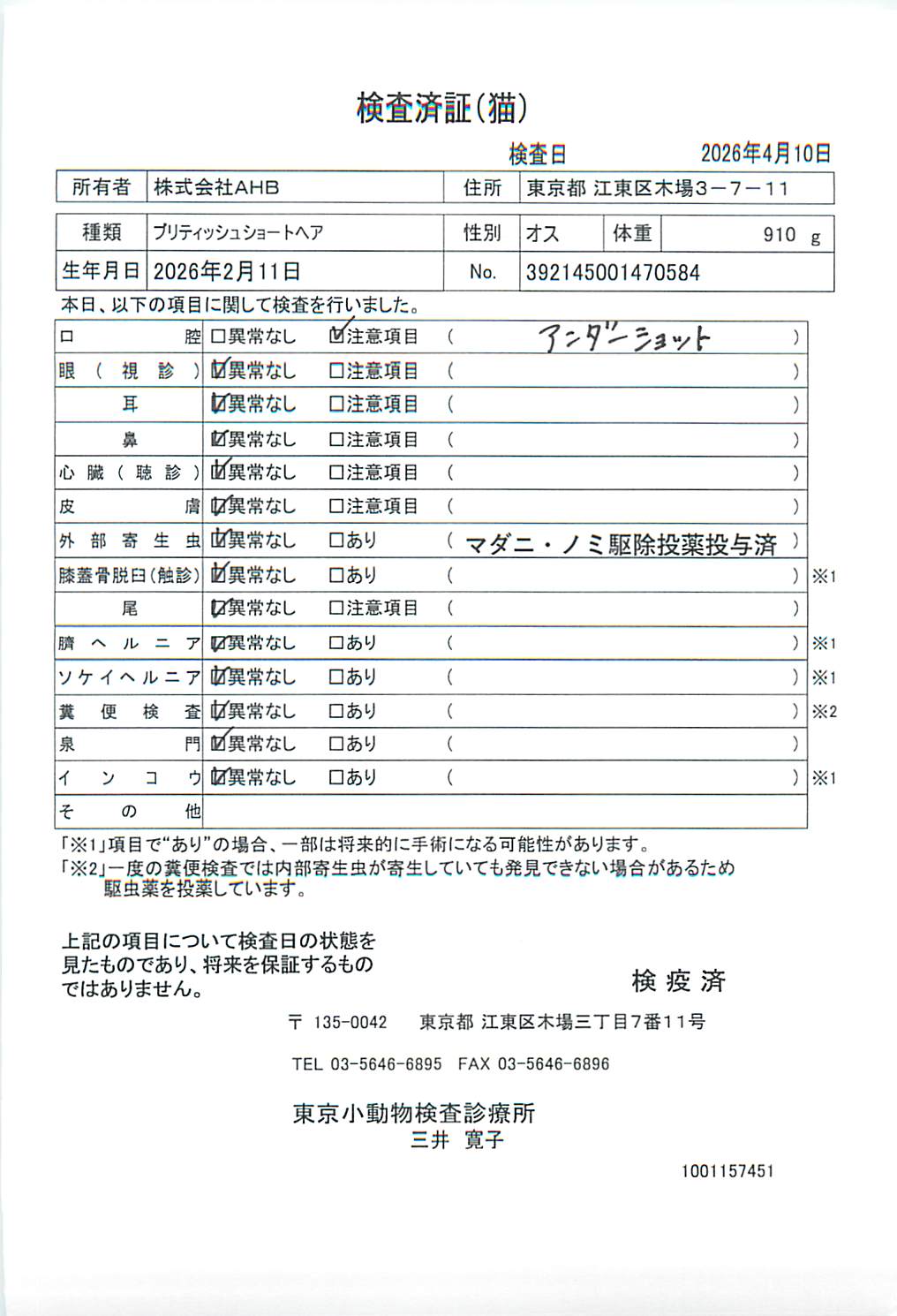 ブリティッシュショートヘア
