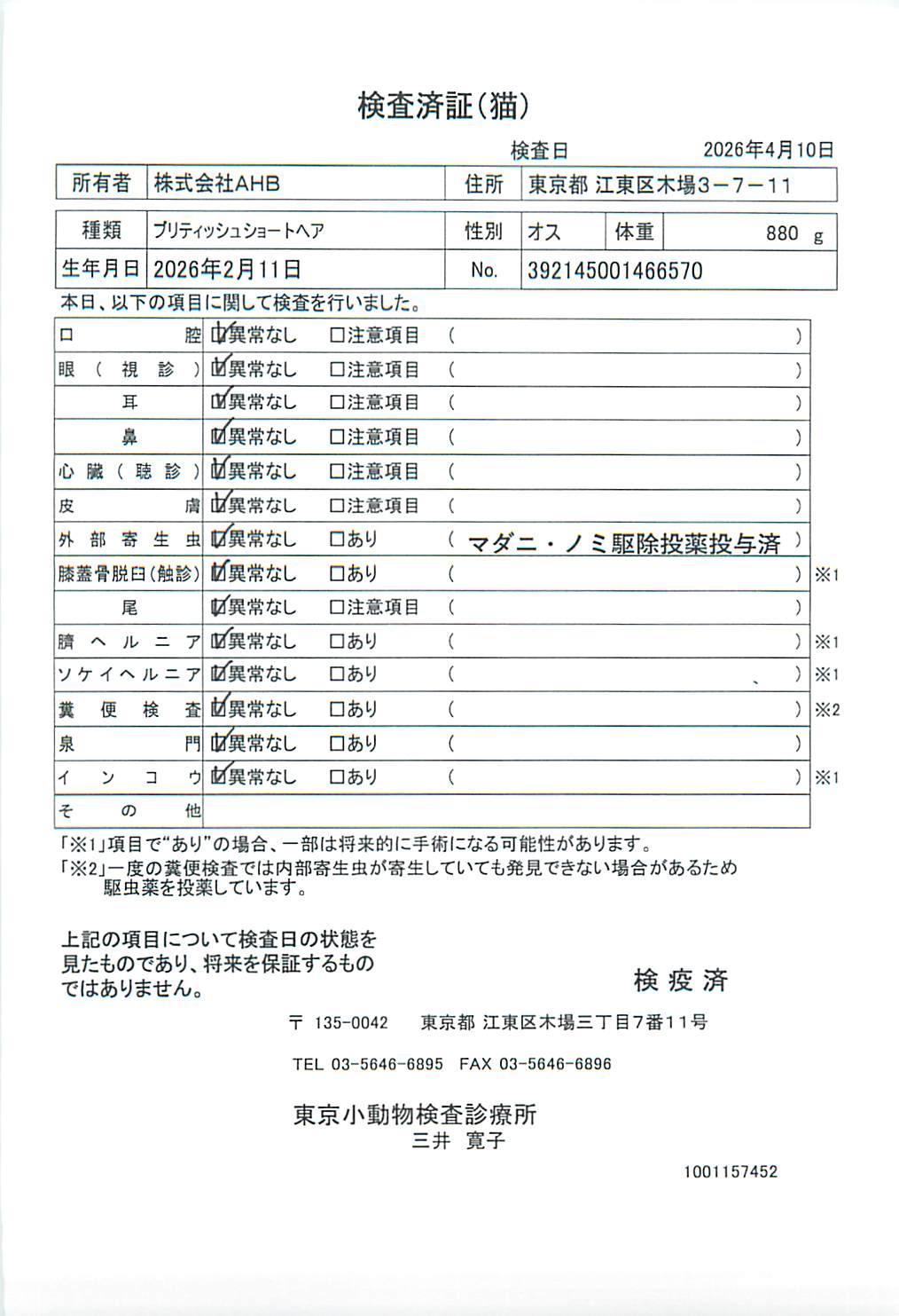 ブリティッシュショートヘア