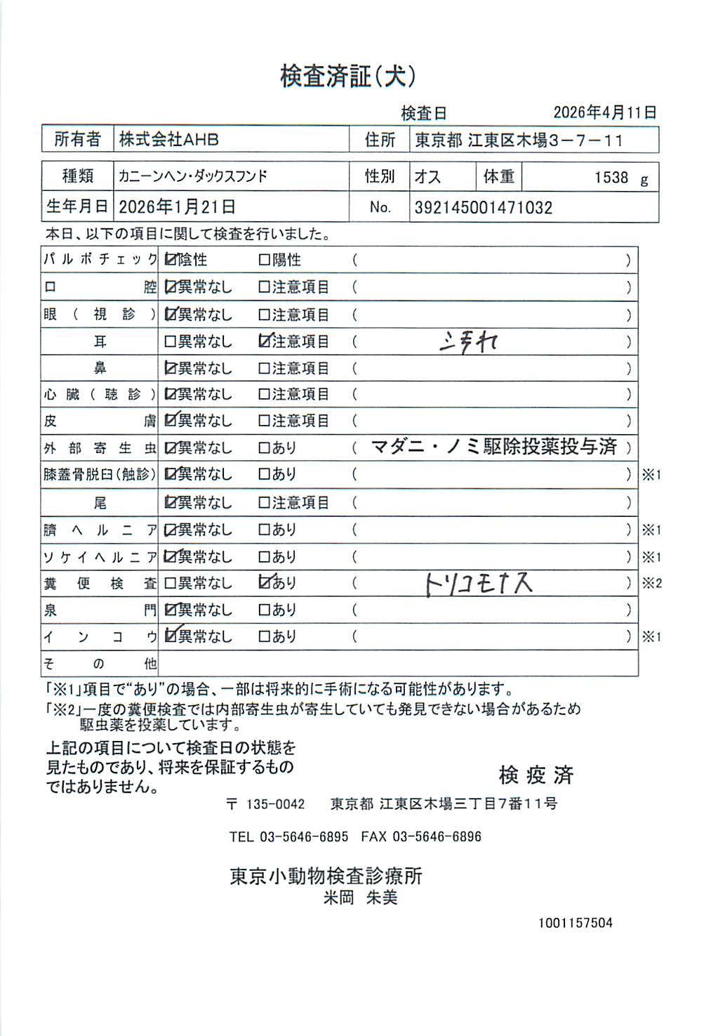 カニーンヘン・ダックスフンド