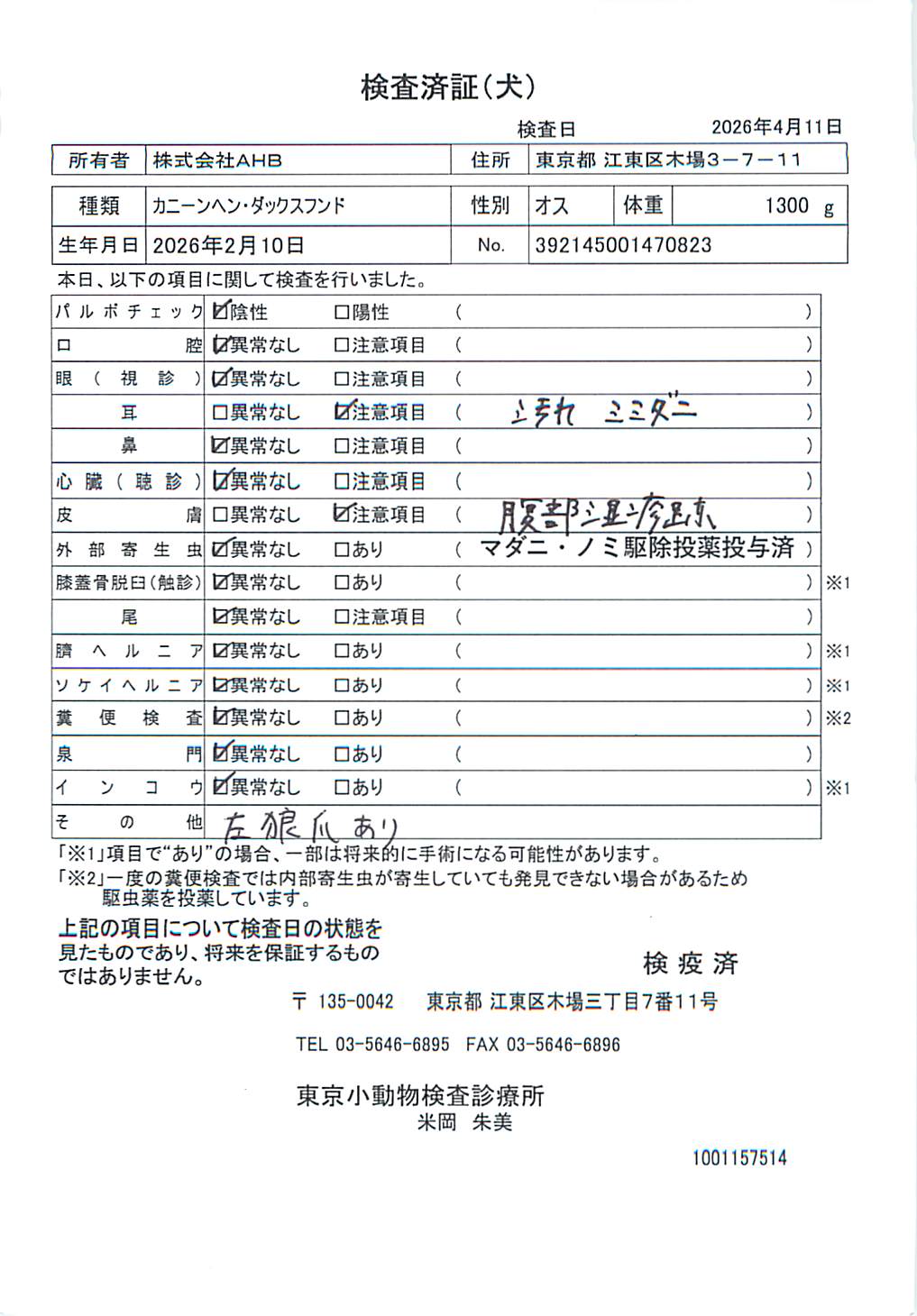 カニーンヘン・ダックスフンド