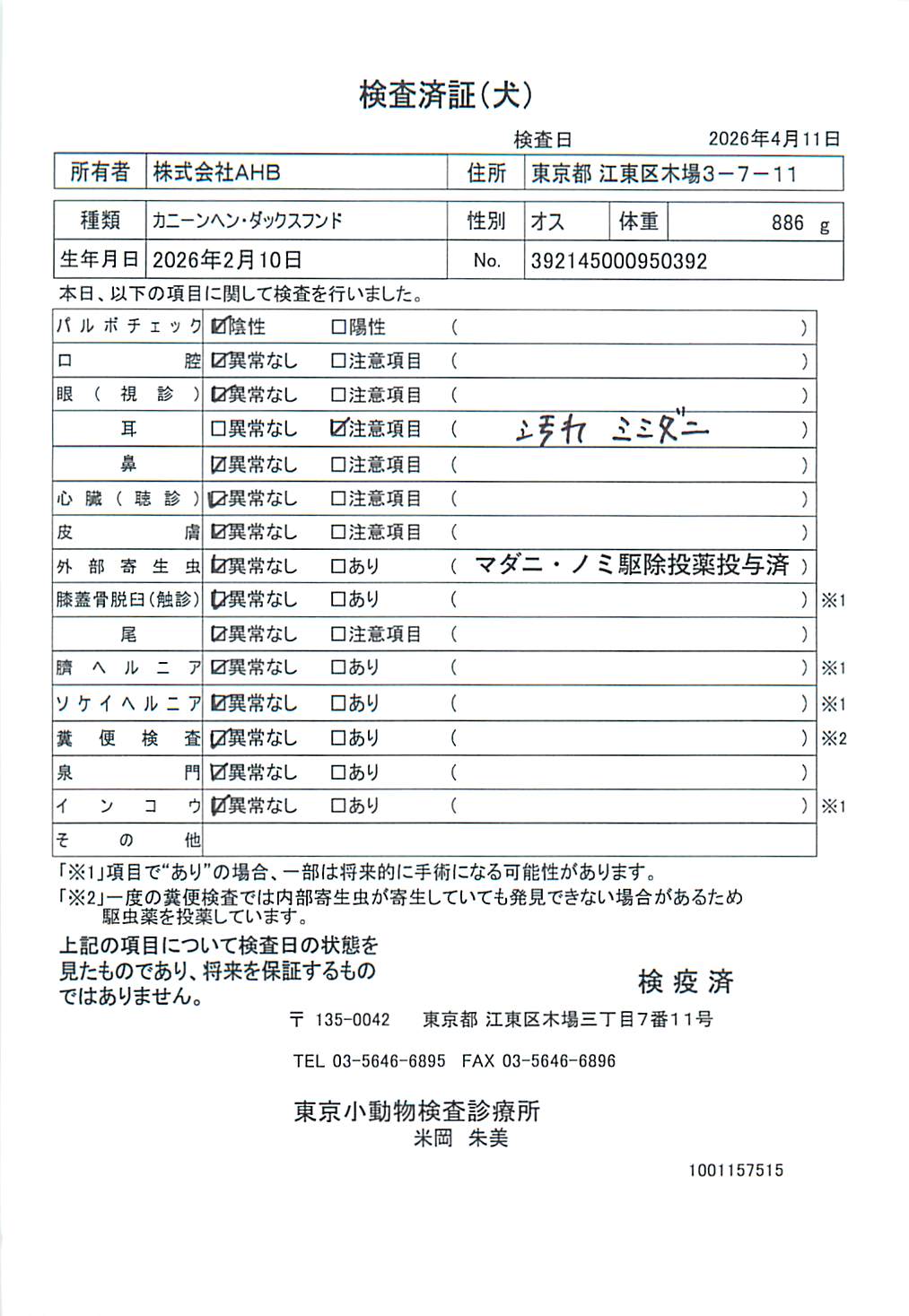 カニーンヘン・ダックスフンド