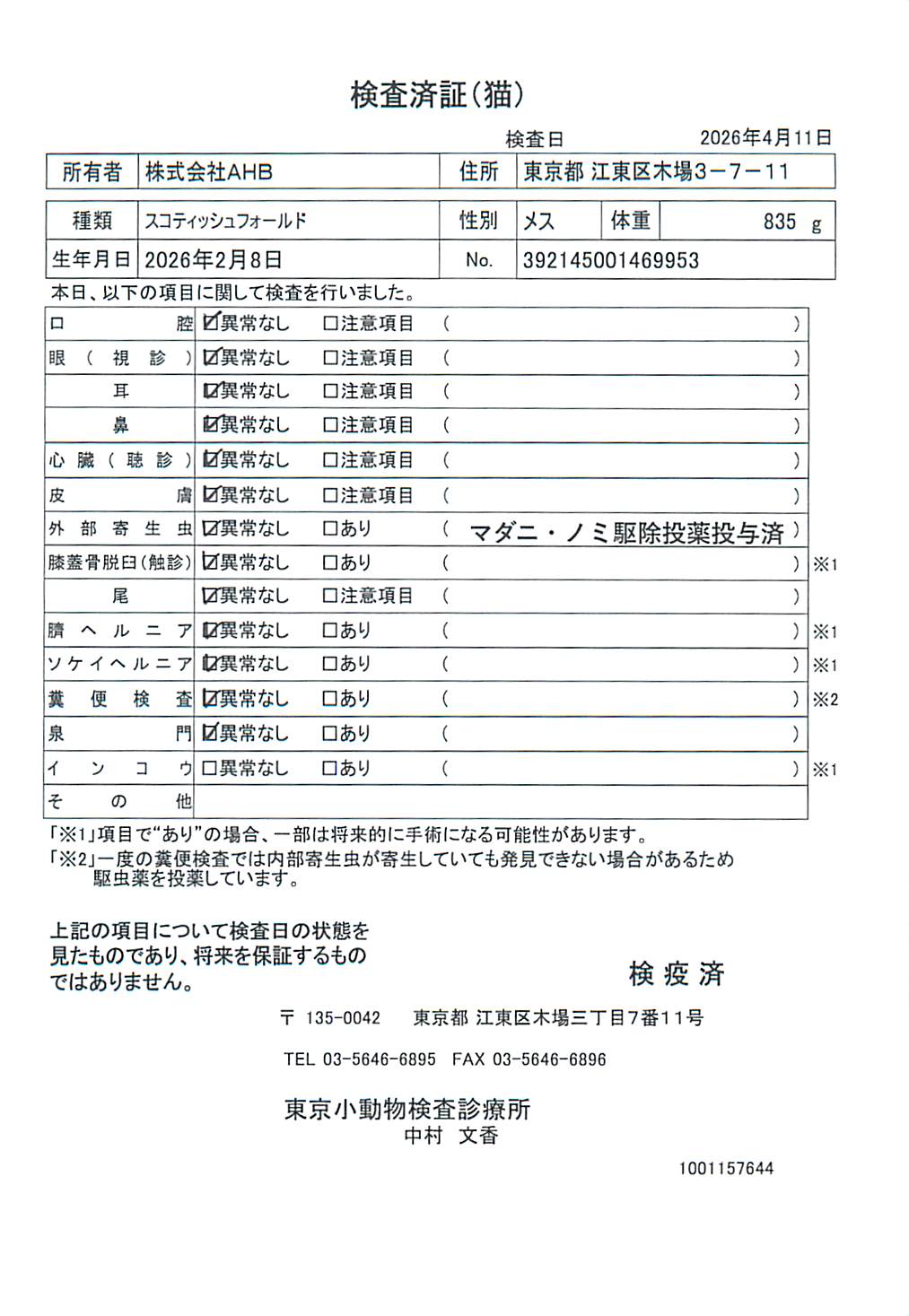 スコティッシュフォールド