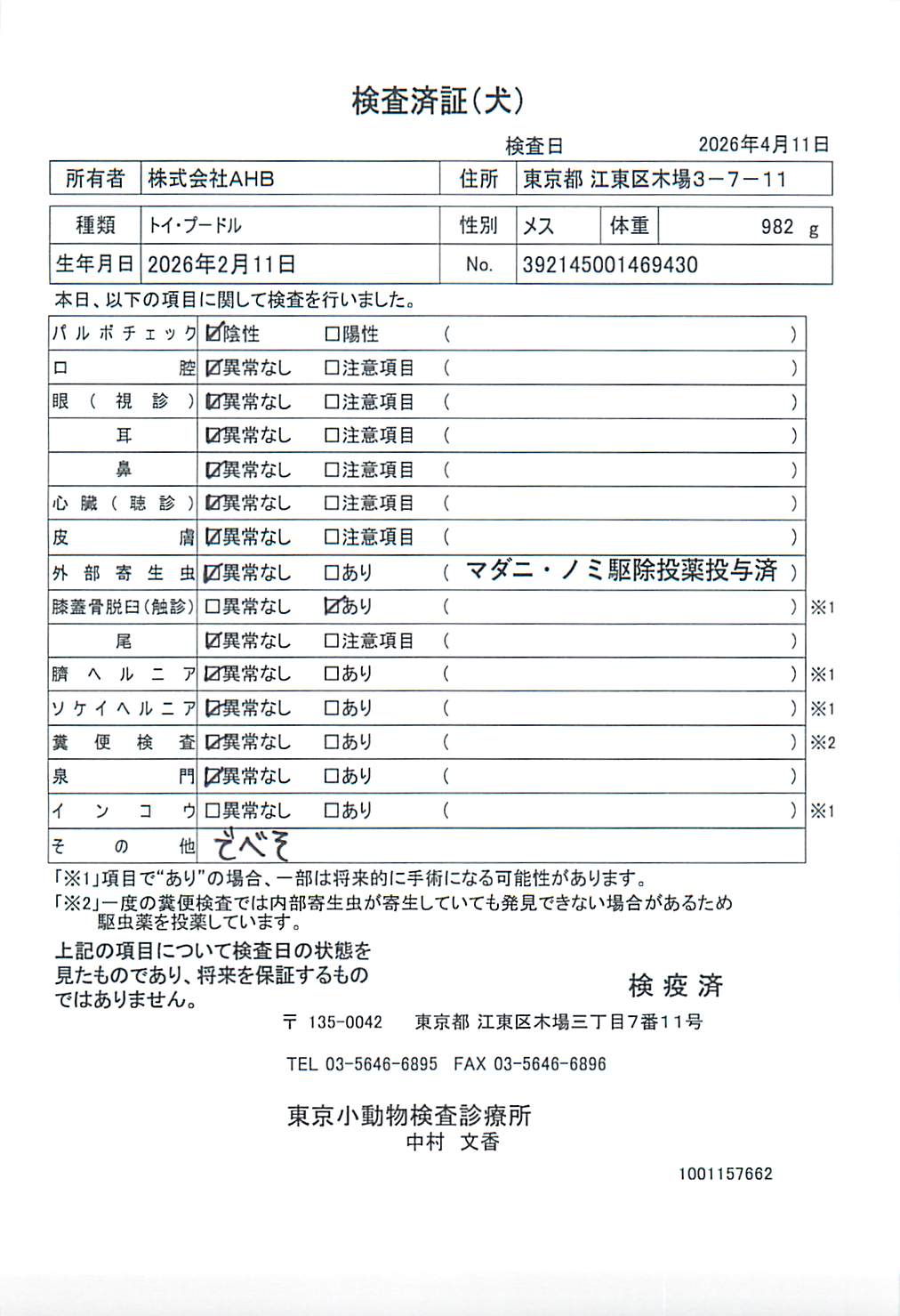 トイ・プードル