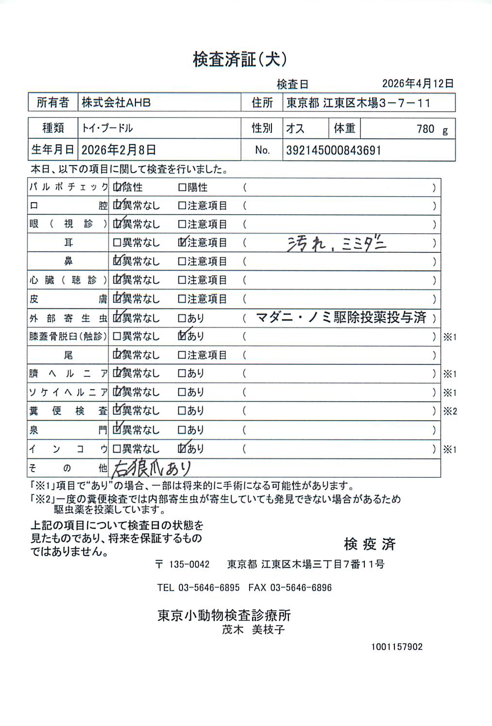 トイ・プードル